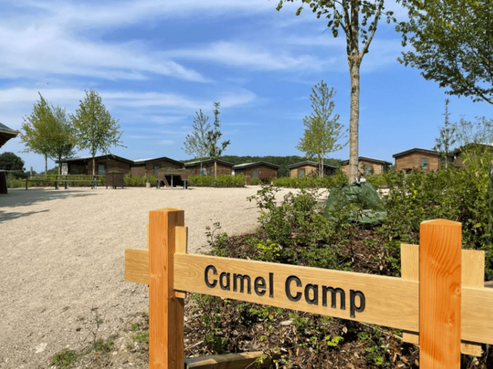 Camel Camp