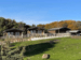 Camel Camp